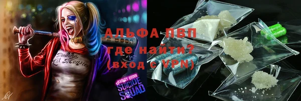 сатива Алексеевка