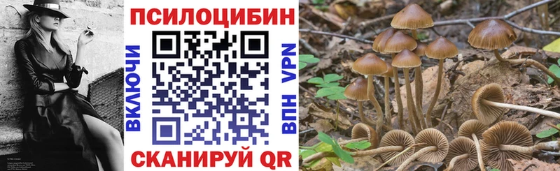 Галлюциногенные грибы Magic Shrooms  наркотики  shop Telegram  Бокситогорск 